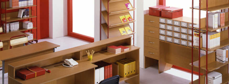 Обзор школьной мебели, важные особенности и правила выбора