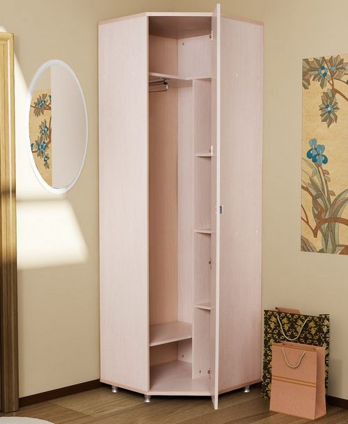 Шкаф своими руками: 101 фото идеальных конструкций разных видов стильных шкафов