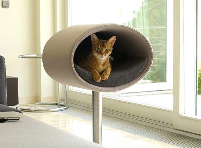 Современный и функциональный домик для кошек